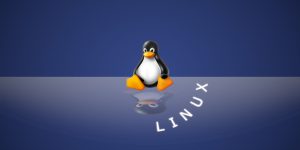 Linux, Ücretsiz Olmasına Rağmen Neden Yaygın Olarak Tercih Edilmiyor?