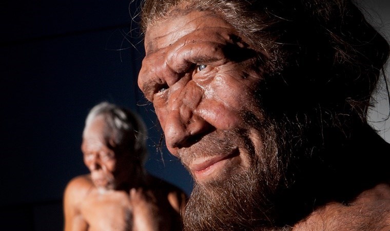 Neandertal DNA'sı taşıyor olabileceğinizin 6 işareti